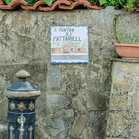 Mary's Apartment Laureana Cilento